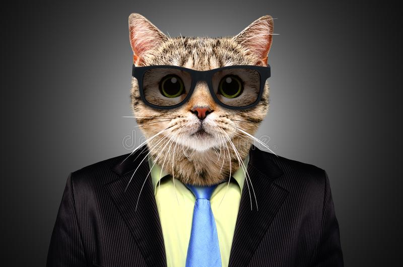 un chat en costume cravate avec des lunettes noires
